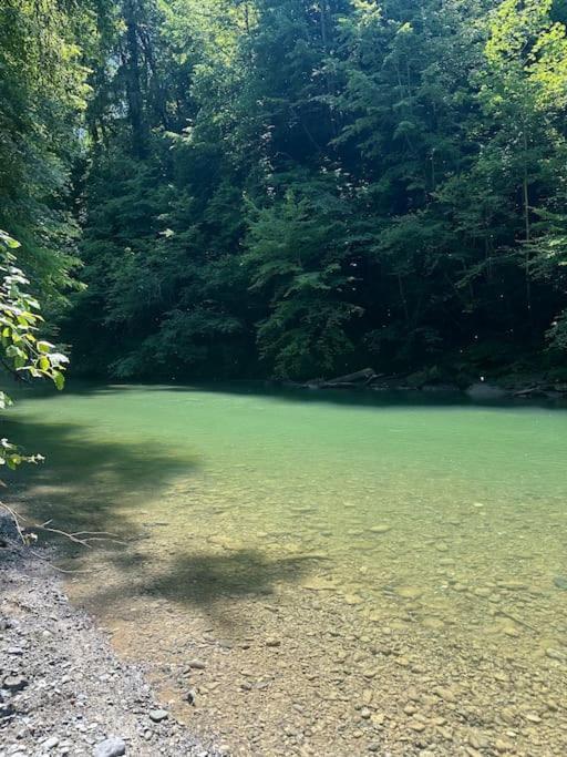 Cocon A La Campagne,Proche Annecy Daire Alby-sur-Cheran Dış mekan fotoğraf