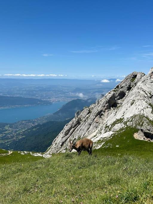 Cocon A La Campagne,Proche Annecy Daire Alby-sur-Cheran Dış mekan fotoğraf